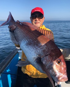 マダイ　大鯛浮上！！