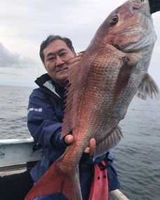 マダイ　大鯛•型物連発！！！