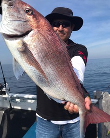 マダイ　大鯛浮上！！！