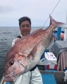 マダイ　お祭り開催！！！
