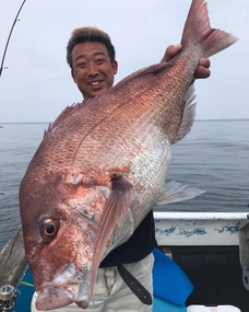 マダイ　お祭り開催！！！