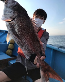 マダイ　大鯛浮上！！
