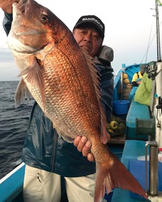 マダイ　大鯛浮上！！