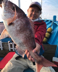 マダイ　型物連発！！