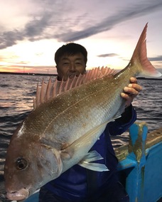 マダイ　大鯛•型物連発！！！
