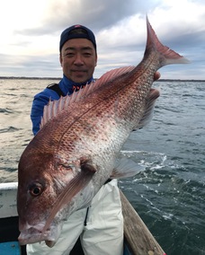 マダイ　大鯛•型物連発！！
