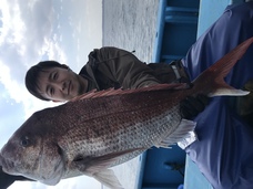 マダイ　大鯛浮上！！