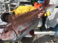 マダイ　大鯛浮上！！