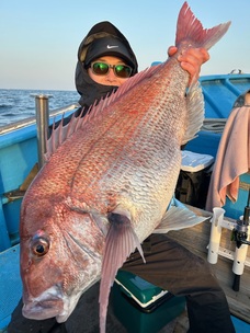 マダイ　特鯛浮上！！