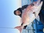 マダイ 大鯛浮上！！