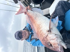 マダイ 大鯛浮上！！