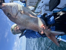 マダイ　大鯛浮上！！