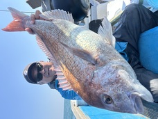 マダイ　大鯛浮上！！