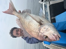 マダイ　大鯛•型物連発！！