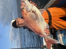 マダイ　大鯛浮上！！！