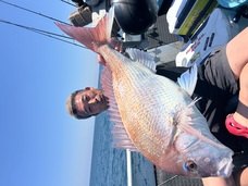マダイ　大鯛浮上！！！